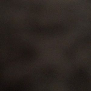 Meet your Posher, Leon